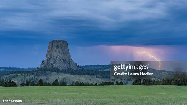 lightning storm over devils tower - wyoming stock pictures, royalty-free photos & images