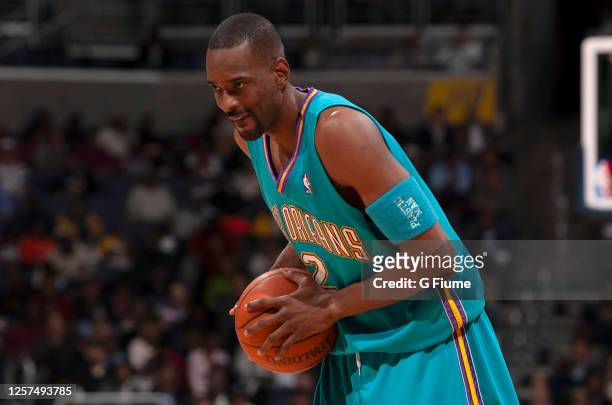 praktijk Monet Modernisering 226 New Orleans Hornets Stacey Augmon Photos and Premium High Res Pictures  - Getty Images