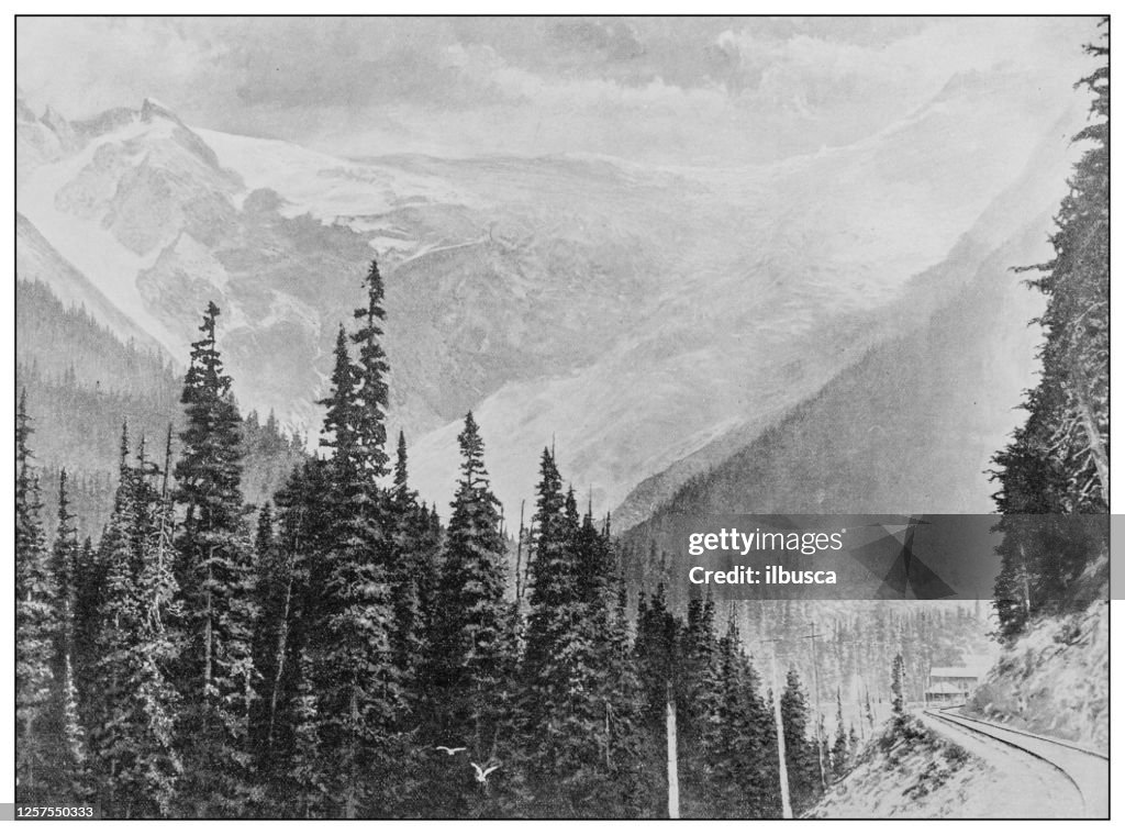 Antique black and white photo: The great glacier of the Selkirks, British Columbia