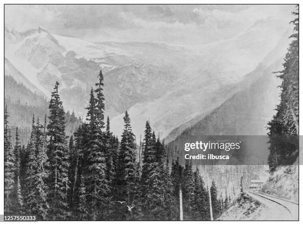 antique black and white photo: the great glacier of the selkirks, british columbia - columbia glacier stock illustrations