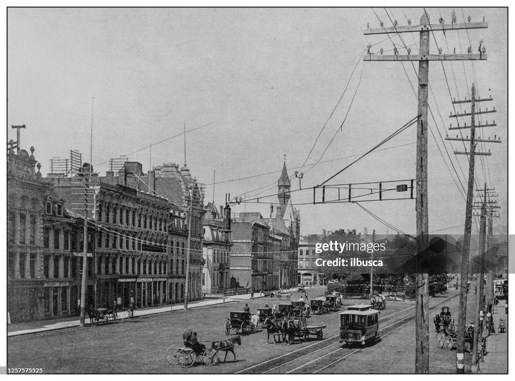 Antique black and white photo: The Gore: King Street, Hamilton