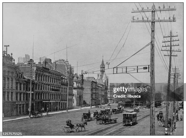 antique black and white photo: the gore: king street, hamilton - hamilton australia stock illustrations