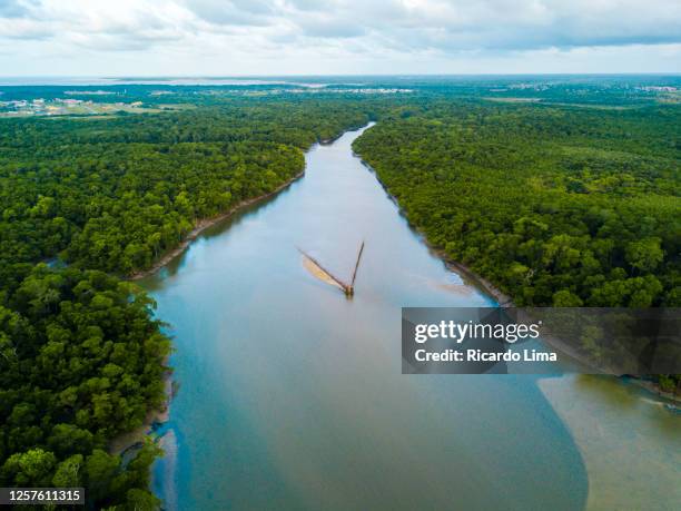 amazon region - aerial view - amazonia fotografías e imágenes de stock