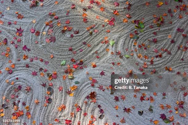 zen garden at kyoto's hosen-in temple - jardín japonés fotografías e imágenes de stock