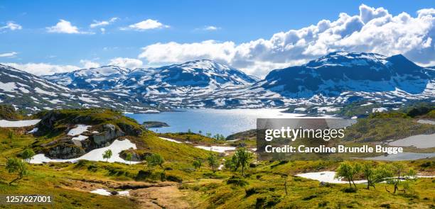 hardangervidda national park, norway - norway landscape stock pictures, royalty-free photos & images