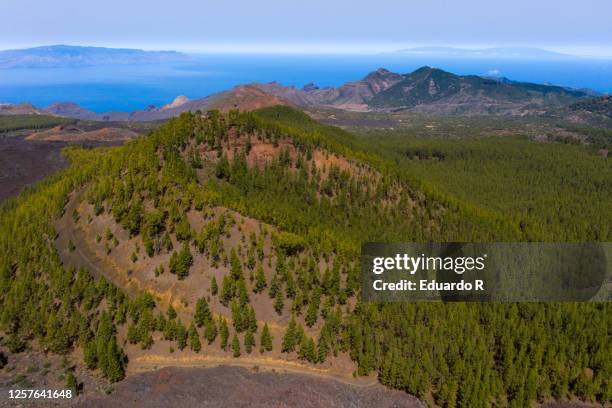aerial views of a volcanic landscape with pine trees and the island of la gomera and la palma in the background - gomera ストックフォトと画像