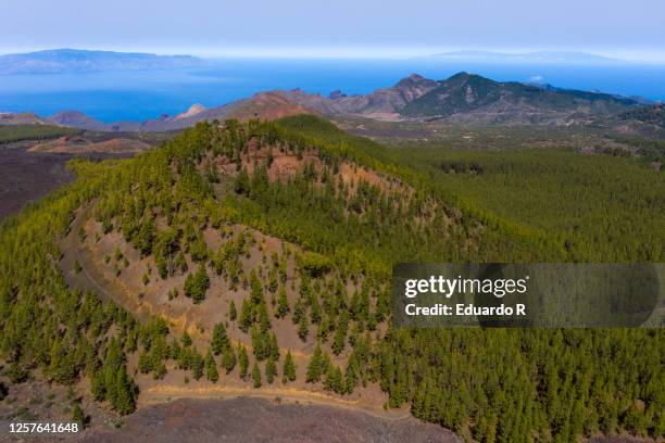 aerial views of a volcanic landscape with pine trees and the island of la gomera and la palma in the background - gomera bildbanksfoton och bilder