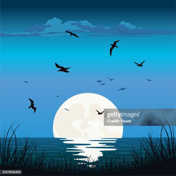 illustrazioni stock, clip art, cartoni animati e icone di tendenza di alba al tramonto sull'oceano marino - luna