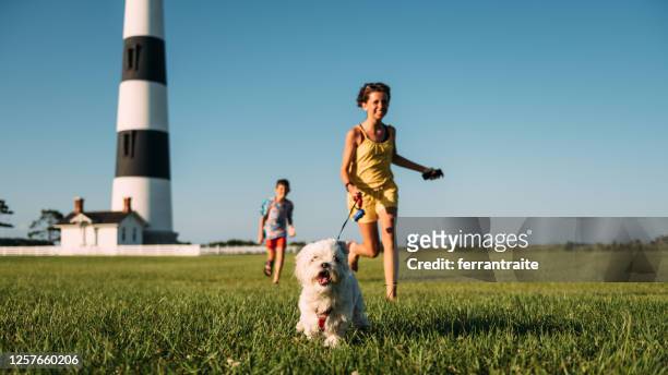 siblings die maltese hond lopen - north carolina lighthouse stockfoto's en -beelden