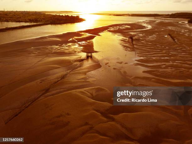 amazon landscape, brazil - amazon aerial foto e immagini stock