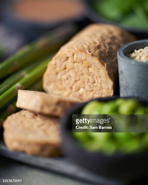 tempeh - tempe stock pictures, royalty-free photos & images