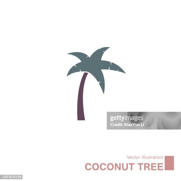 Coconut Tree Vector File 1,311 Coconut Leaf Vector High Res Illustrations - Getty Images