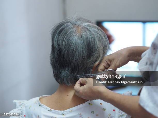 woman cutting white gray color hair rear head my mother stay at home social distancing quarantine - long hair stock photos et images de collection