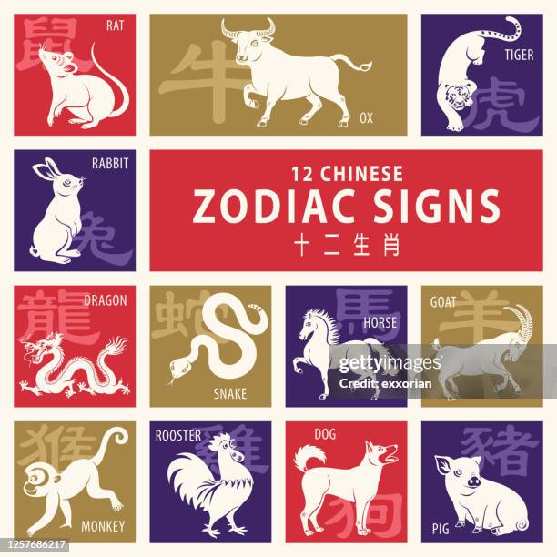 12 chinese zodiac signs - chinese zodiac sign stock illustrations