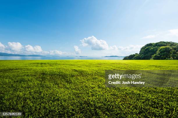 outdoor grassland - grande angular imagens e fotografias de stock