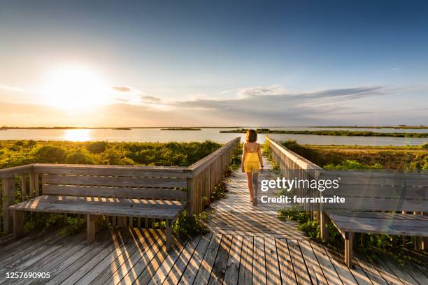 children visiting pea island outer banks - pea island national wildlife refuge stock pictures, royalty-free photos & images