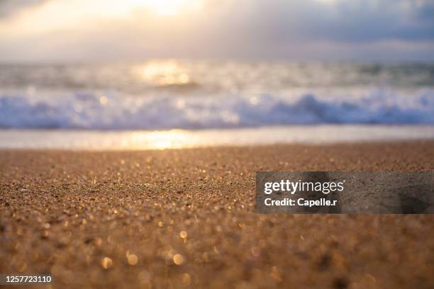 nature - coucher de soleil sur l'atlantique - waters edge stock pictures, royalty-free photos & images