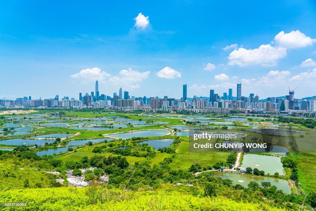 View of rural green fields in Hong Kong border