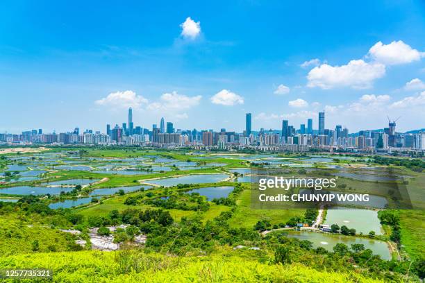 view of rural green fields in hong kong border - shenzhen stock pictures, royalty-free photos & images