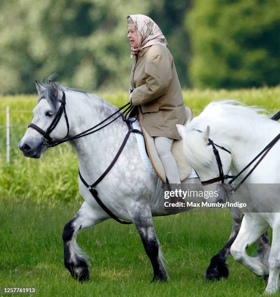 Queen Elizabeth II seen horse riding in the grounds of Windsor Castle on June 2, 2006 in Windsor, England.