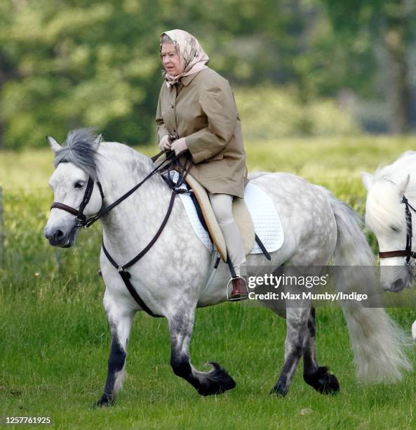 Queen Elizabeth II seen horse riding in the grounds of Windsor Castle on June 2, 2006 in Windsor, England.