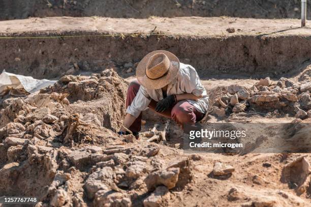 man working on rock - archaeology stock pictures, royalty-free photos & images