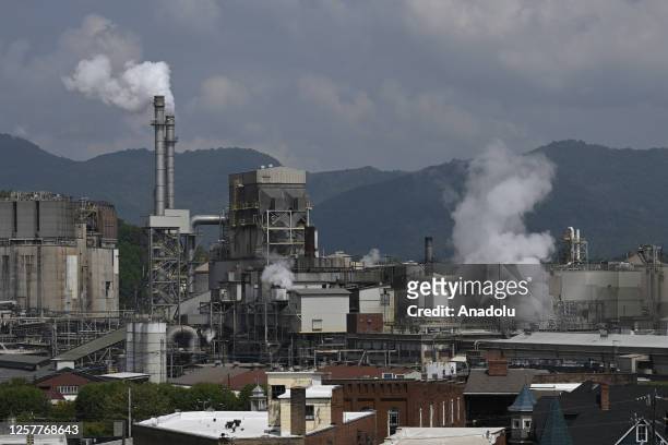 Pactiv Evergreen owned by New Zealand billionaire is closing its 115 year old paper mill currently taking 185 acres in the middle of the town and is...