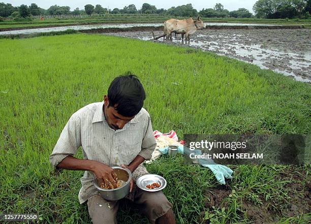 Srinivas Reddy Field 61 Srinivas Reddy Stock Photos, High-Res Pictures, and Images - Getty ...