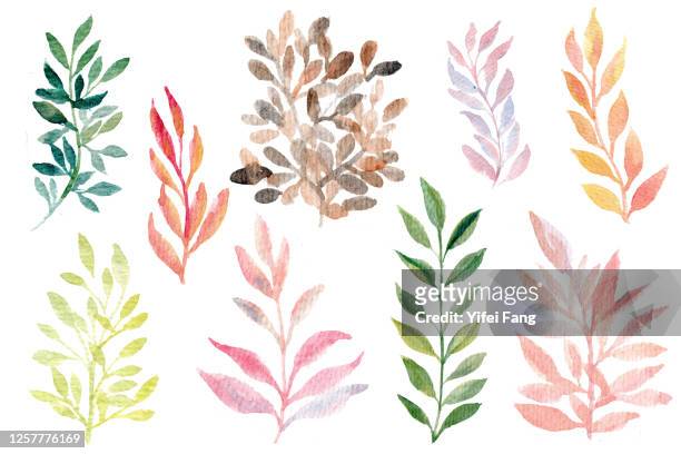 watercolour illustration of colourful leaves - aquarell pflanze stock-fotos und bilder