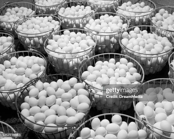 1950s Overall Pattern Metal Baskets Full Of Leghorn Chicken Eggs