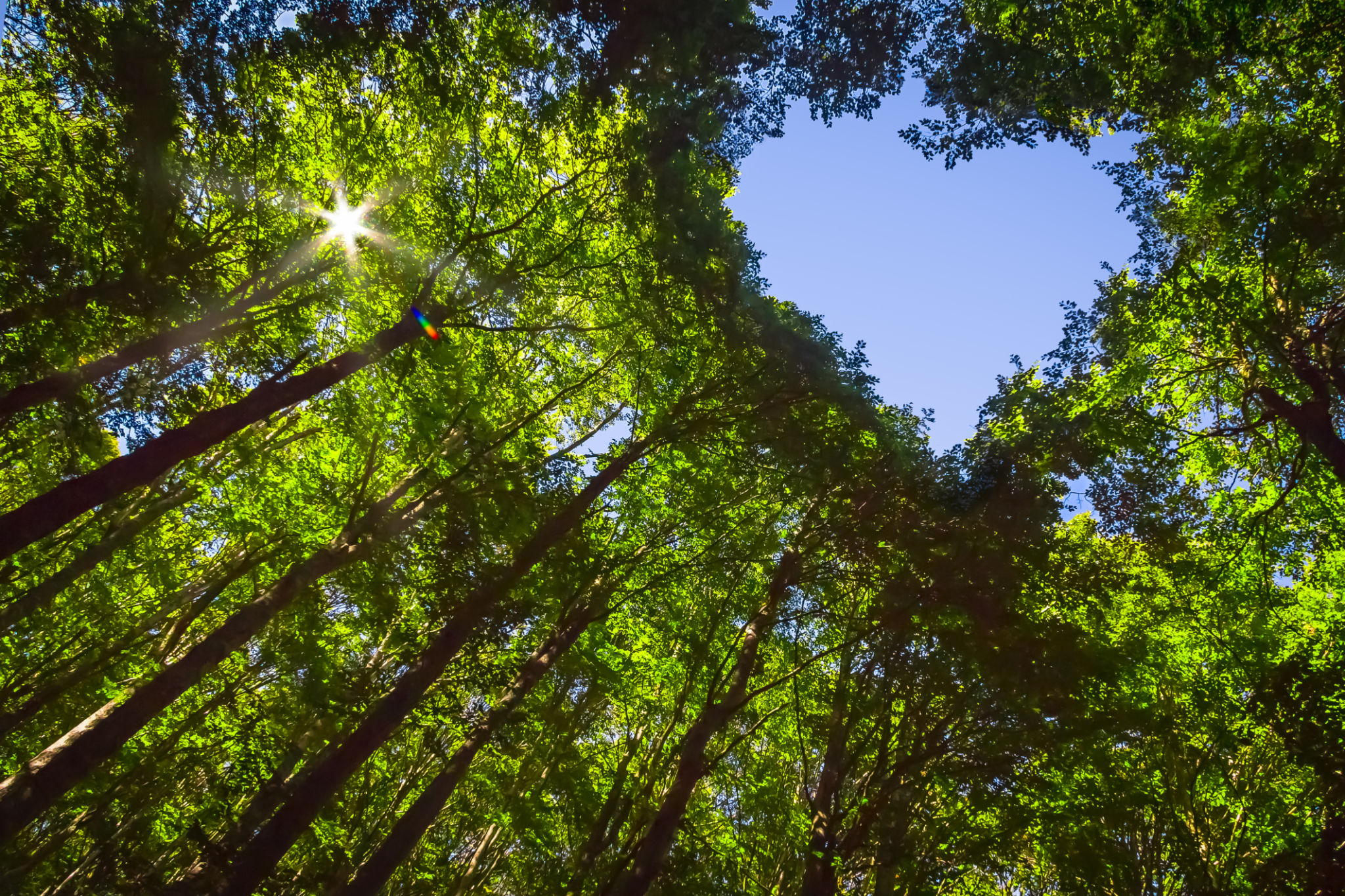 sustainable beauty