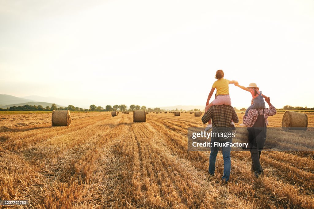 Padre atento y abuelo llevando hermana curiosa en su hombro mientras disfruta de la puesta de sol en el campo de trigo