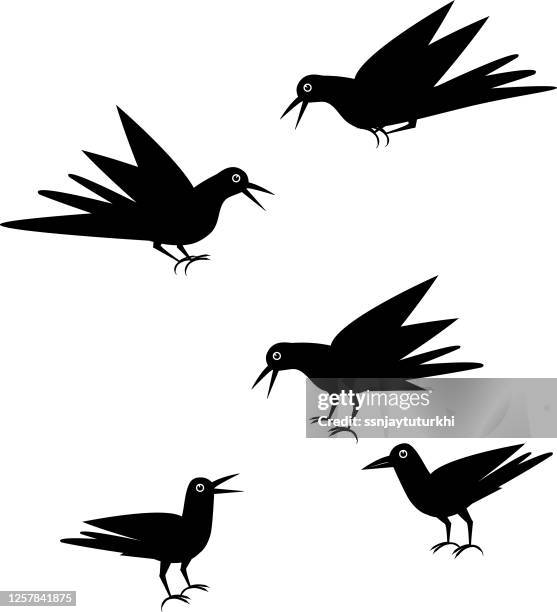 crow, - stencil stock illustrations