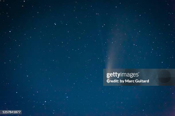 closeup of c/2020 f3 comet neowise, fredericton, new brunswick, canada - comite foto e immagini stock