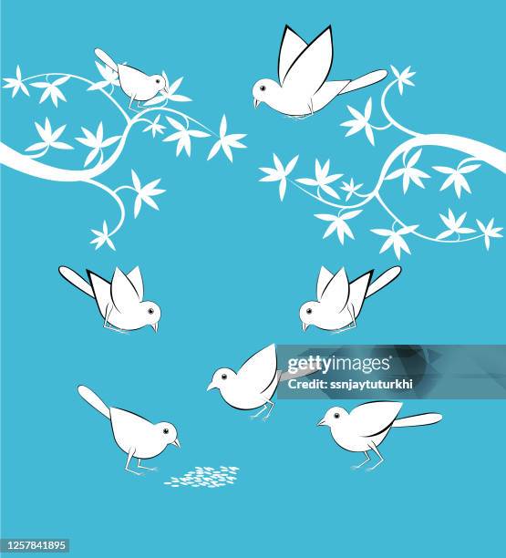 sparrow, - albatross stock illustrations