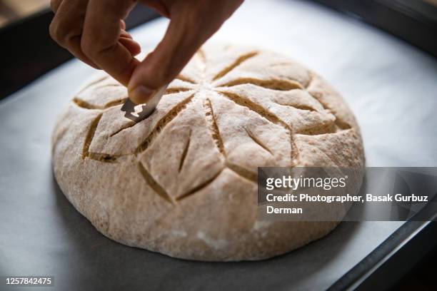 a hand scoring sourdough whole wheat bread with a razor blade - pane a lievito naturale foto e immagini stock