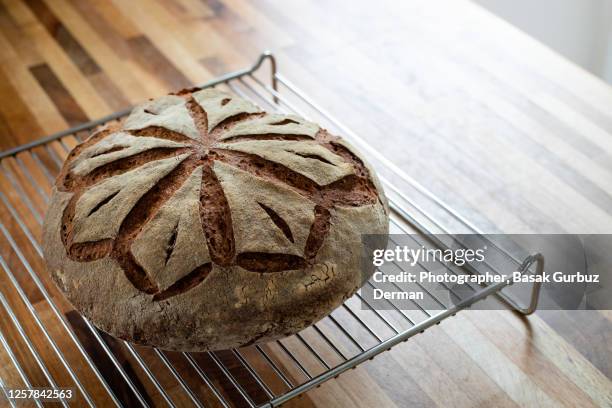 freshly baked sourdough whole wheat bread on cooling rack - soda bread stock pictures, royalty-free photos & images