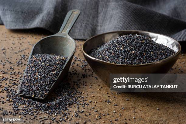 poppy seeds - poppy seed stock pictures, royalty-free photos & images