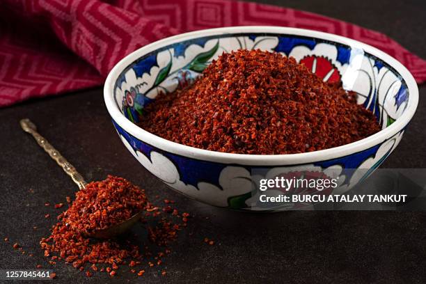 chili paprika powder - paprikapoeder stockfoto's en -beelden