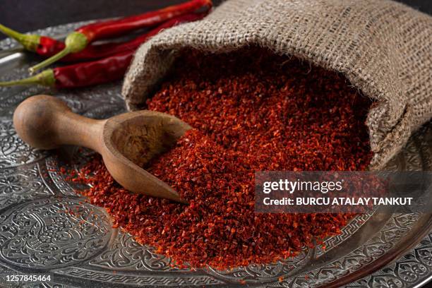 chili paprika powder - chilli powder imagens e fotografias de stock