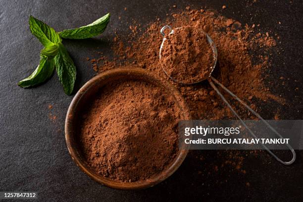 cacao powder - cacau imagens e fotografias de stock