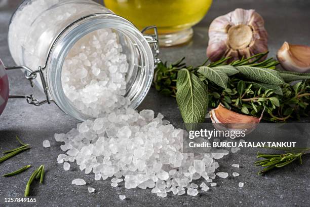 natural rock salt - salado fotografías e imágenes de stock