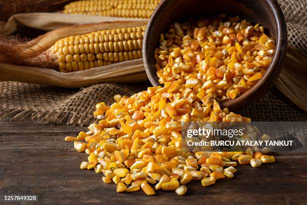 dry corn kernels - popcorn kernel stock pictures, royalty-free photos & images