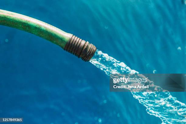 hose closeup, filling pool, running water outside - wet hose ストックフォトと画像