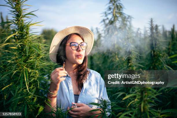 lächelnde frau raucht marihuana in marihuana-feld. - smoking weed stock-fotos und bilder