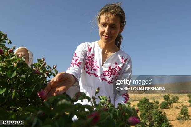 Syrian First Lady Asma al-Assad harvests Damascena roses in the village of al-Marah, in the Damascus countryside, on May 25, 2023.