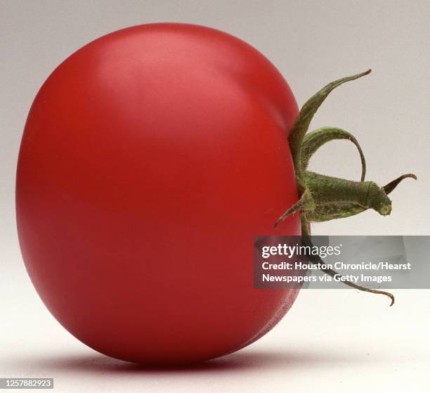 Shoot a hand holding the balloons and then meld the balloons AND tomatoes together in photoshop so that it is a bunch of tomato balloons. Kellye will...