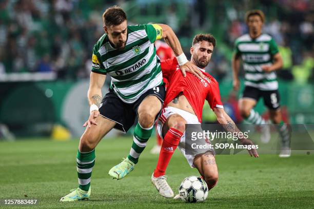Sebastián Coates of Sporting CP with Rafa Silva of SL Benfica in action during the Liga Portugal BWIN match between Sporting CP and SL Benfica at...