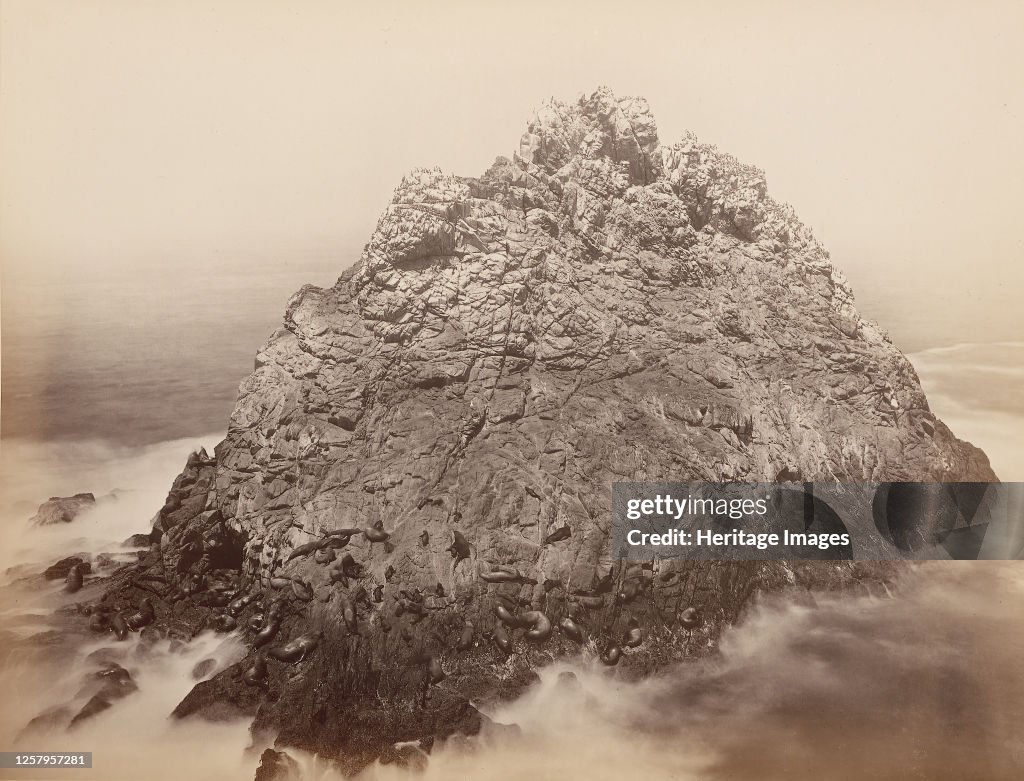 Sugar Loaf Islands