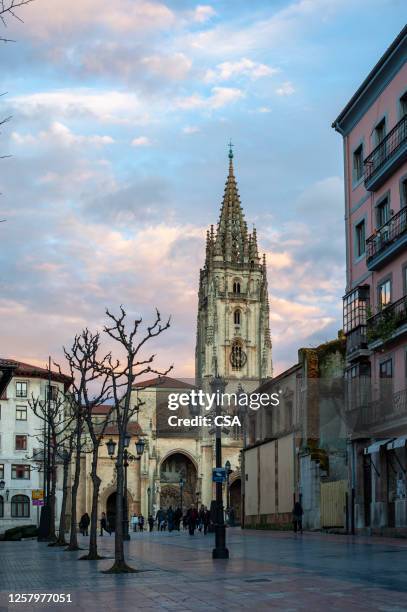 catedral de oviedo - oviedo fotografías e imágenes de stock